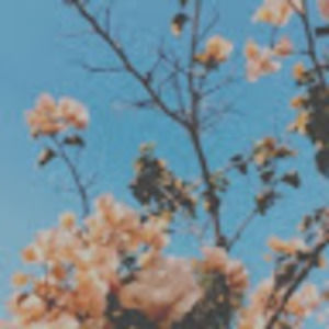 Meet your Posher, Margaret